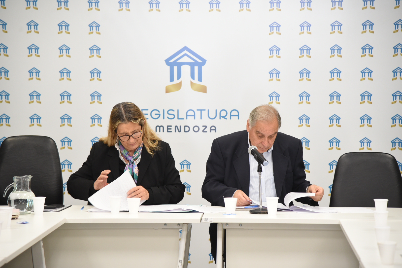 Despacho favorable para los proyectos que buscan fortalecer la atención de emergencias en Mendoza