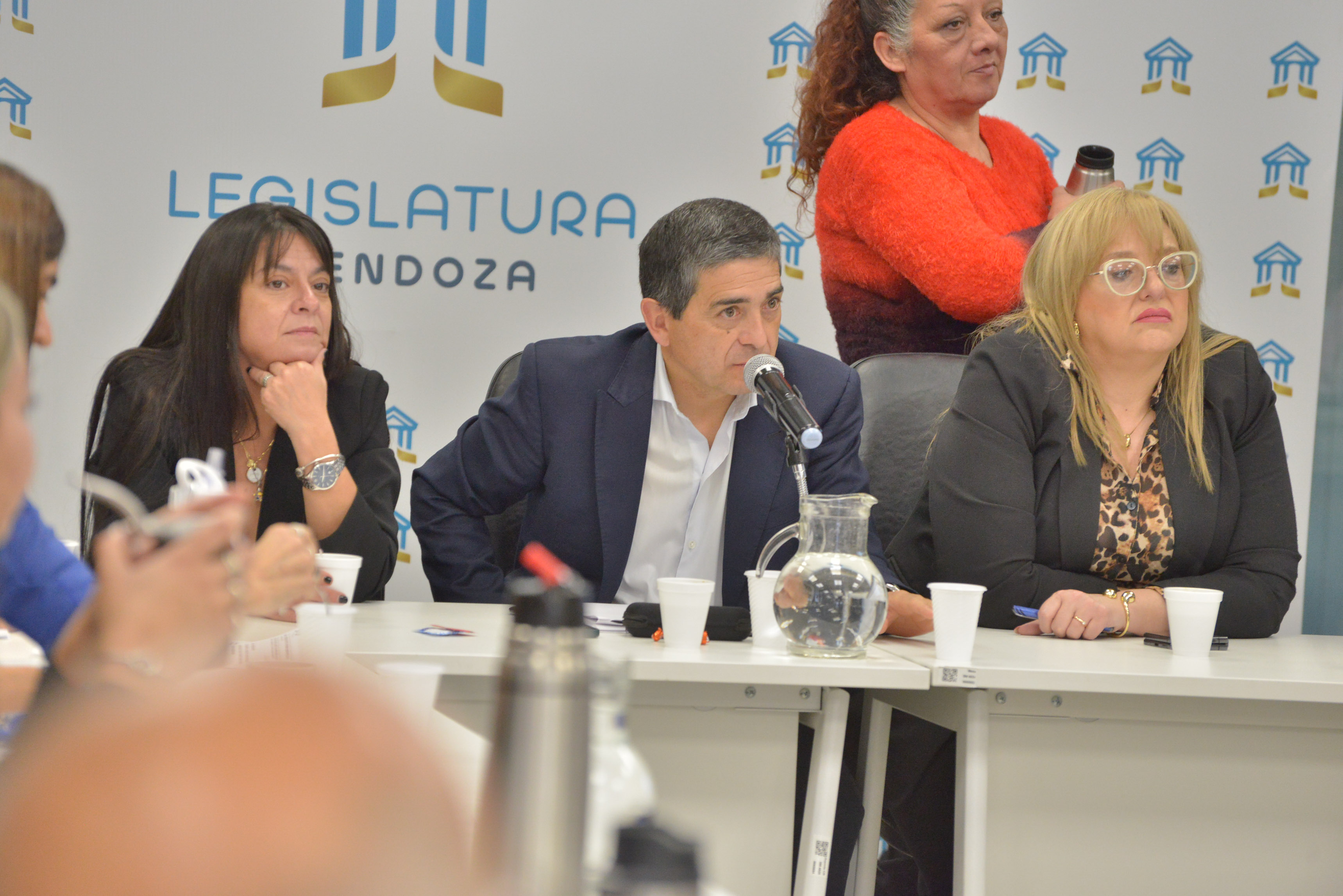 Despacho favorable para la reforma del Estatuto del Empleado Público 