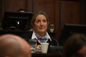 El Senado avanza en la modernización de la atención prehospitalaria y en la formación de técnicos en emergencias