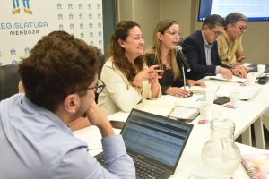 Despacho favorable a proyectos clave para el desarrollo minero y ambiental de Mendoza