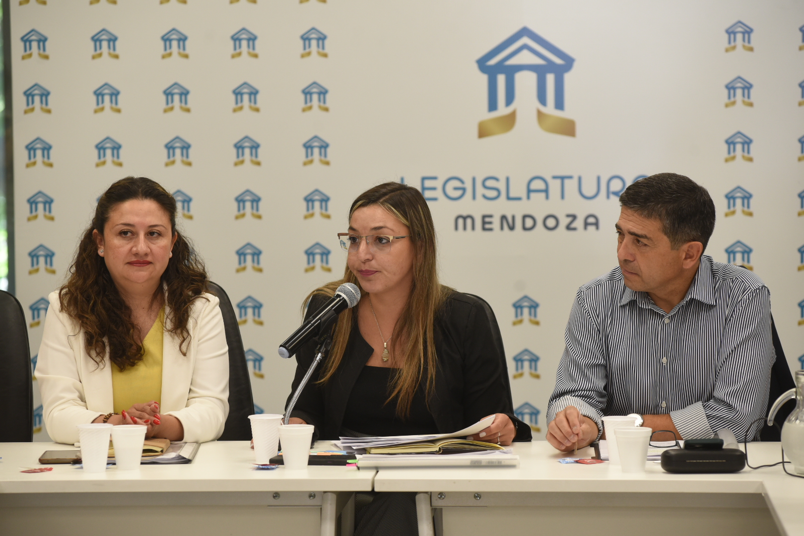 Despacho favorable a proyectos clave para el desarrollo minero y ambiental de Mendoza