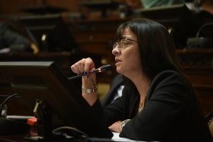 Vuelve a Diputados el proyecto que crea el Adicional Asesoría de Gobierno