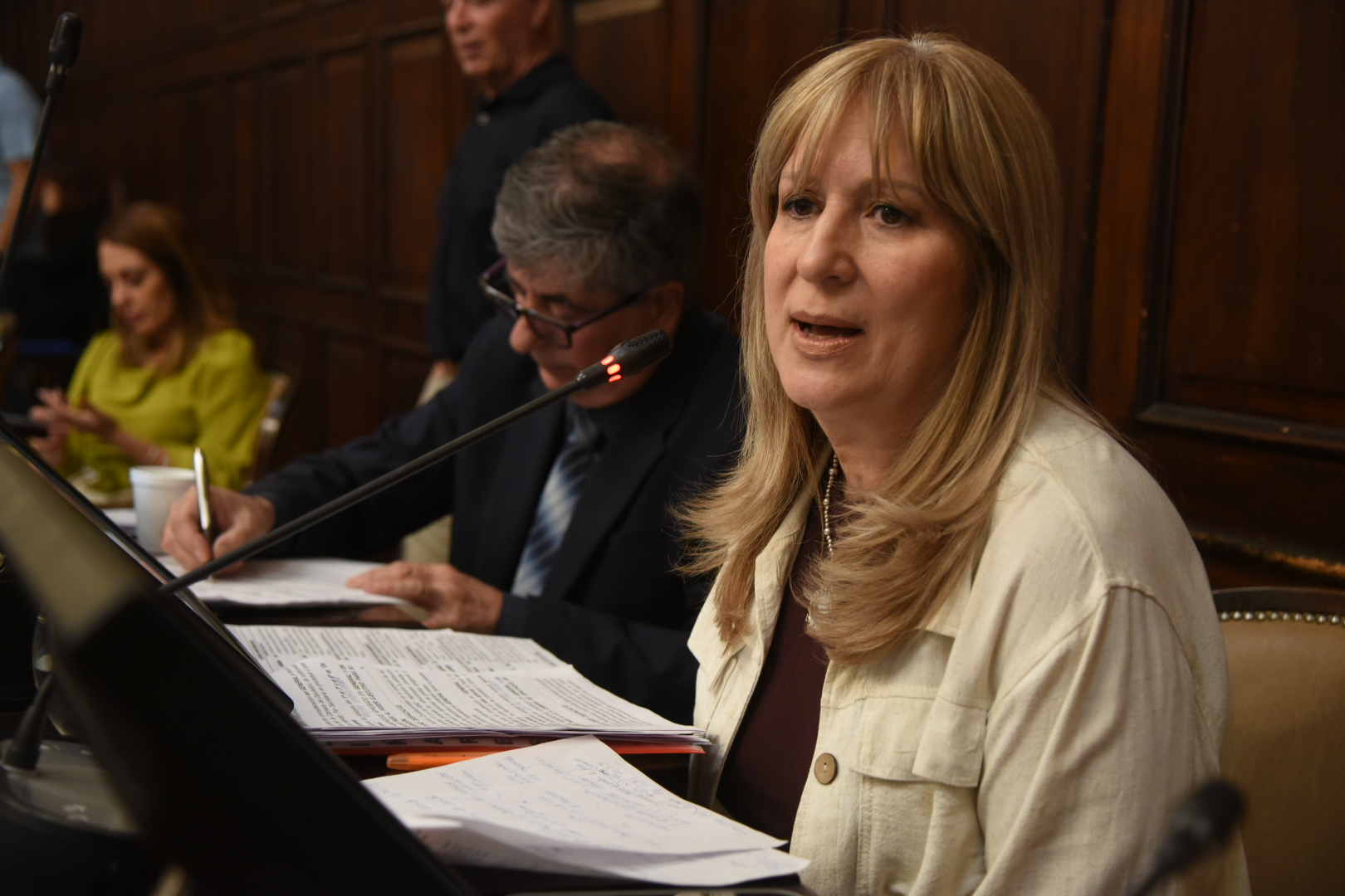 Media sanción para una iniciativa que busca regularizar el Loteo Bonanno y garantizar servicios básicos