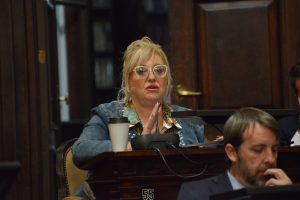 El Senado avaló una propuesta para declarar septiembre como el "Mes de la Educación Social"