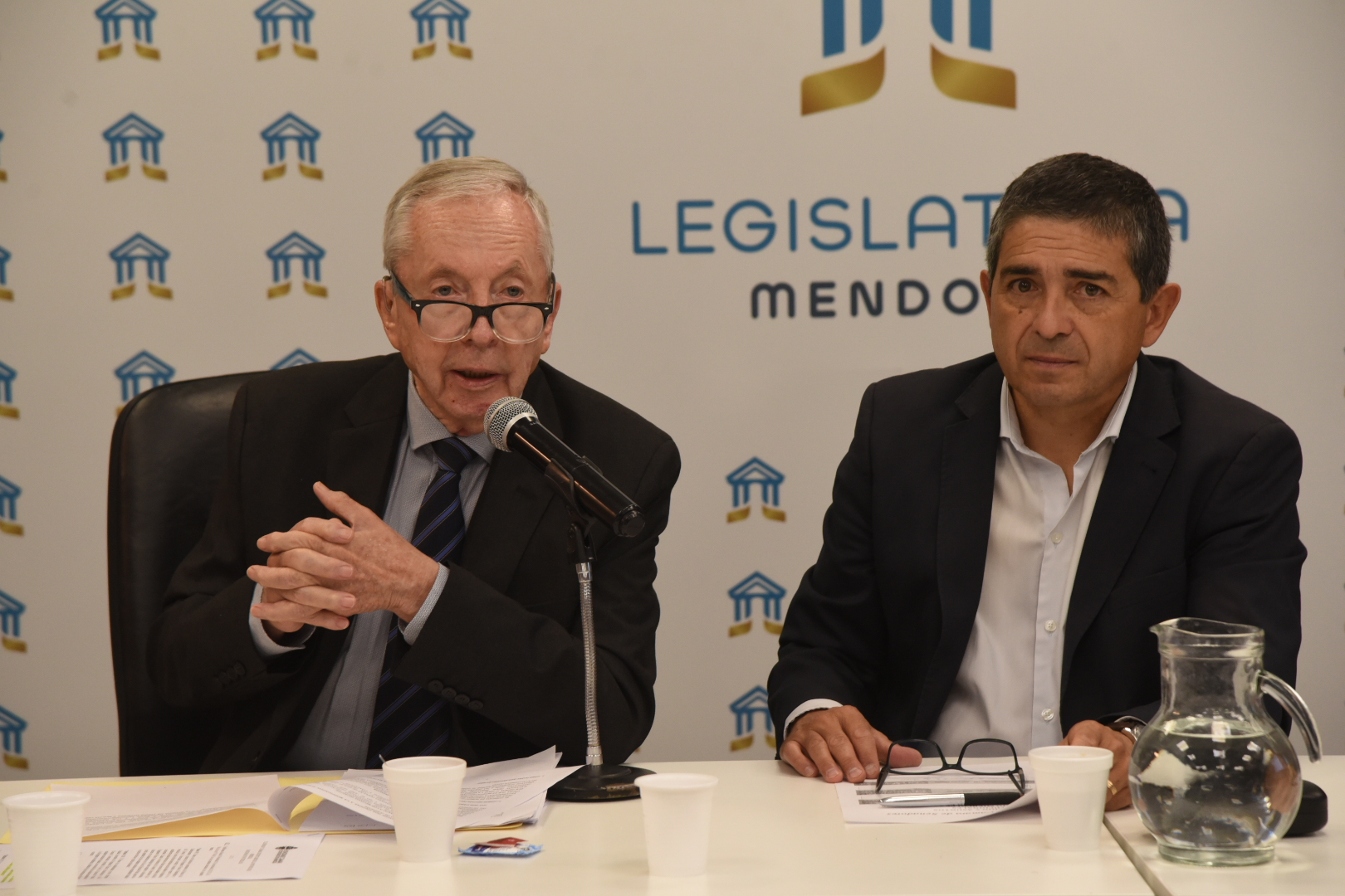 Analizan en el Senado una reforma para endurecer los controles y reforzar el rol de los informes técnicos