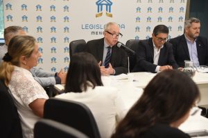 Analizan en el Senado una reforma para endurecer los controles y reforzar el rol de los informes técnicos