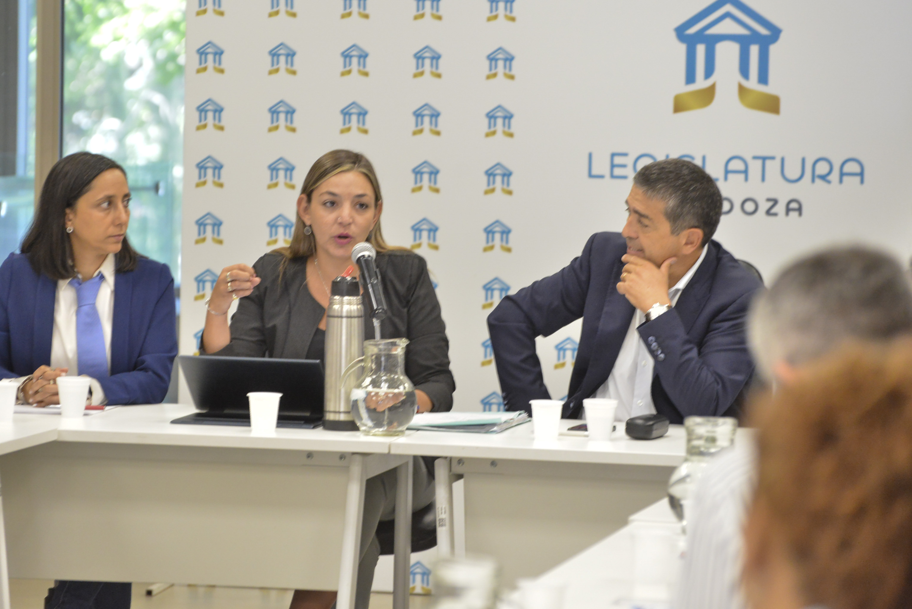 Reforma de la Ley de Arbolado Público