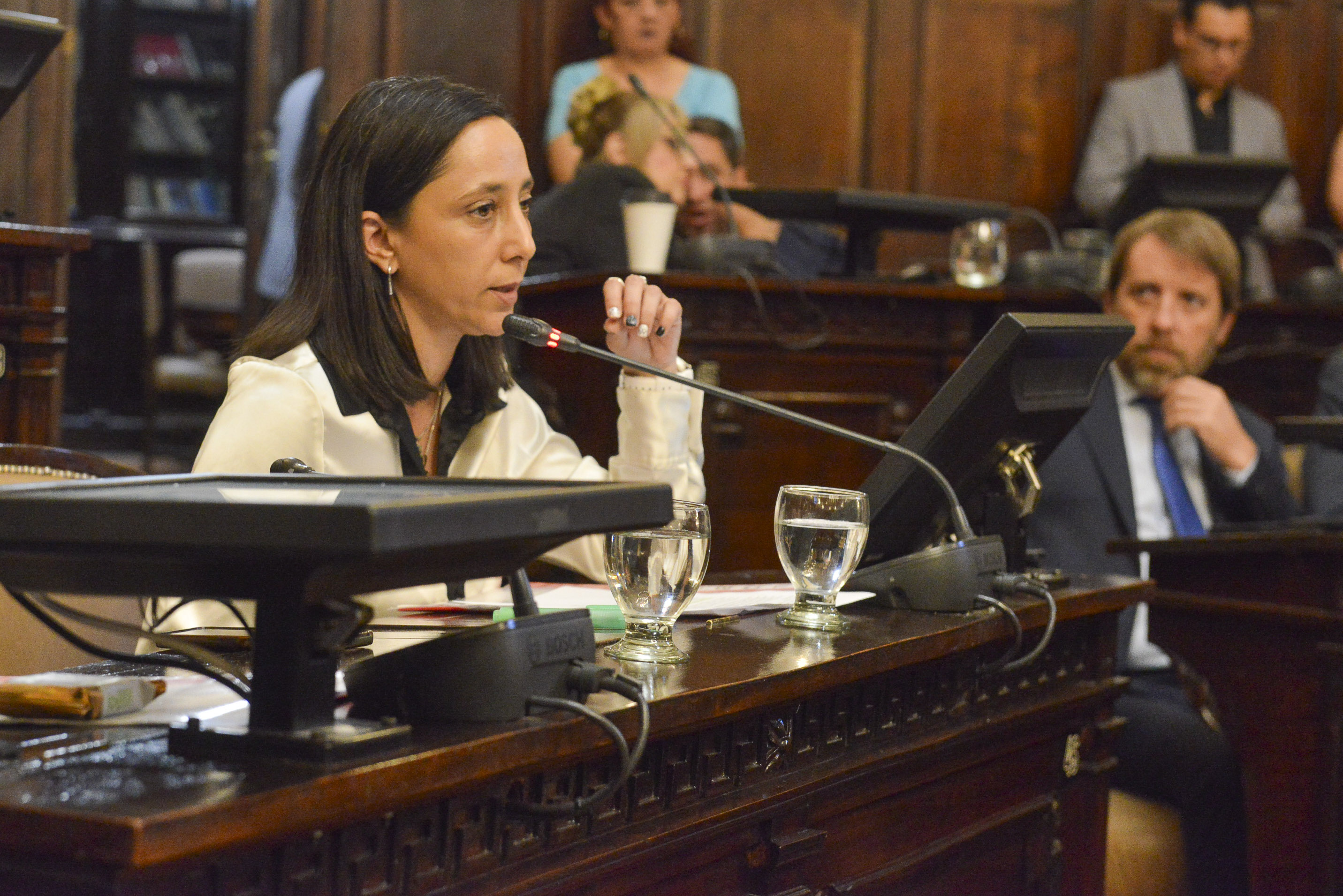 sistema de protección y educación de la primera infancia